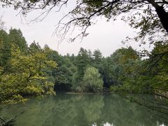 -东湖落雁景区