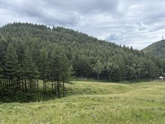 -驼梁风景区