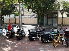 -小龍鳳餐室(番禺路店)