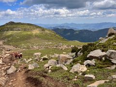 -灵山