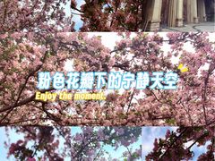 -成都南湖公园