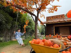 -HERRE·FARM 赫尔露营农场·团建聚会包场