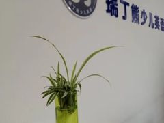 -瑞丁熊原版阅读(大华校区)