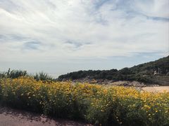 -宁波松兰山滨海旅游度假区