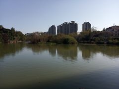 -金山公园