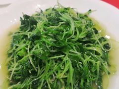 -旅宁大酒店