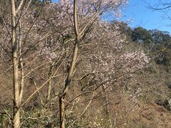 -北仑森林植物园