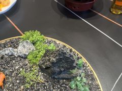 -柴火大院烤鸭民间菜