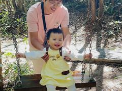 -九龙江国家森林公园