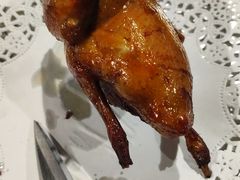 -石岐乳鸽村(南海第三分店)