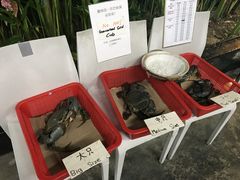 -龙海鲜螃蟹王(宏茂桥店)