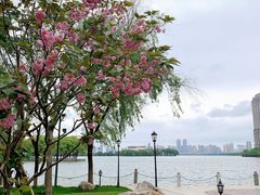 -南昌青山湖风景区