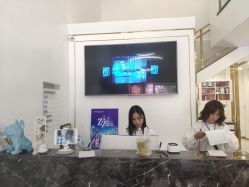 -YESIDO椰岛造型