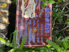 -东寨港红树林旅游区