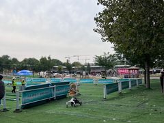 -北京鹿世界主题园