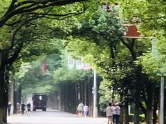 -东平国家森林公园