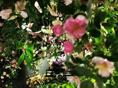 -第101座花园餐厅(湖滨88店)