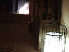 -芳朴养生按摩spa·男士