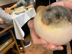 -肆月河豚·新淮扬(金融街店)