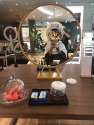 -意廊 Hair Salon