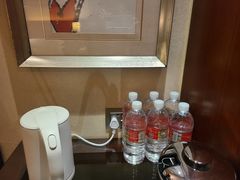 -上海浦东康桥绿地假日酒店