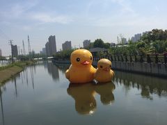 -菊园百果园