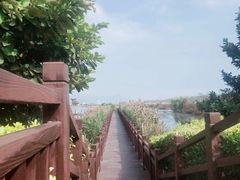 -芒洲湿地公园