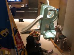 -上海滴水湖皇冠假日酒店