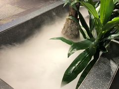 -故里湘(嘉里城店)