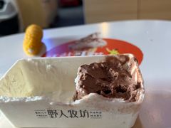 -野人牧坊Gelato(天津南开大悦城店)