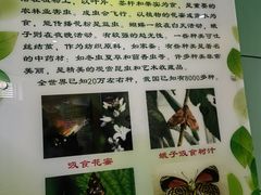 -上海昆虫博物馆