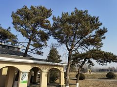 -上林马术中央公园·户外露营·团建·骑乘