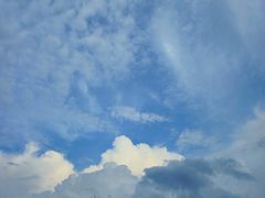 -瑶湖郊野森林公园