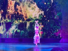 -勐巴拉娜西大剧院