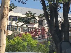 -白佛花鸟鱼虫批发市场小型宠物交易(东区)