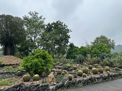 -Club Med地中海俱乐部·桂林度假村