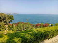 -燕儿岛山公园