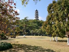 -江心屿景区