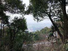 -杭州半山国家森林公园