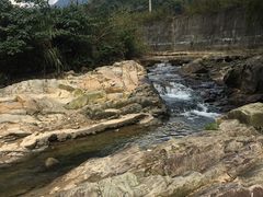 -宁波浙东大竹海景区