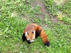 -沈阳森林动物园