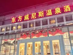 -东方威尼斯温泉酒店