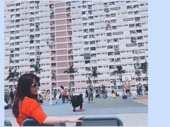 -彩虹村