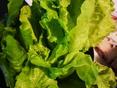 西洋菜-东椰·海南椰子鸡火锅(朝阳门店)