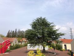 -上海长兴岛郊野公园