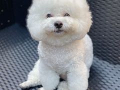 -北化机爱工场文化科技融合产业园