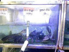 -八仔大富楼·河鲜(西江店)