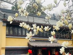 -灵谷景区