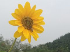 景点-西尖山公园