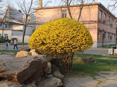 -辽宁大学(崇山校区)